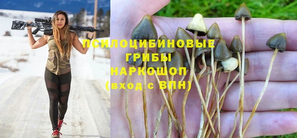 а пвп мука Киреевск