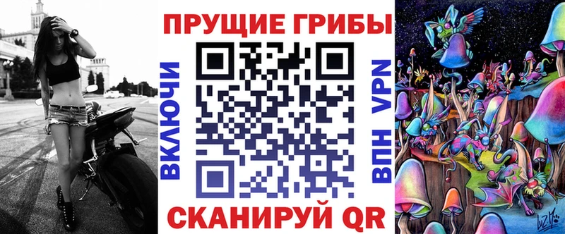Псилоцибиновые грибы мицелий  Купить  Пятигорск 
